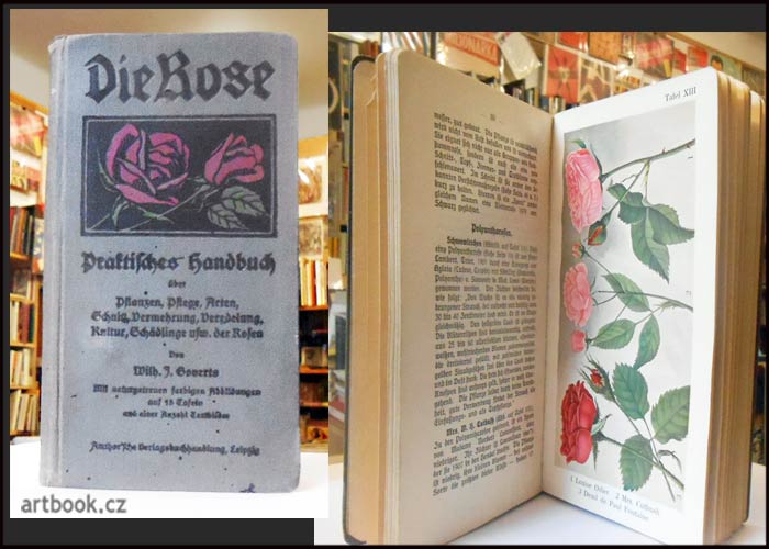 GOVERTS, WILH. J.: DIE ROSE - Praktisches Handbuch. / kol. 1900.