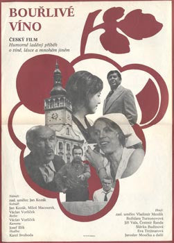 1976. Autor: Anonym   Český film. Režie Václav Vorlíček.  /plakát/