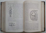 CLAUS, CARL - GROBBEN, KARL: LEHRBUCH DER ZOOLOGIE.- 1905.